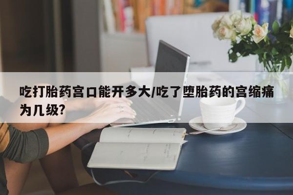 打胎药私人专卖微信网上药店吃打胎药宫口能开多大/吃了堕胎药的宫缩痛为几级?