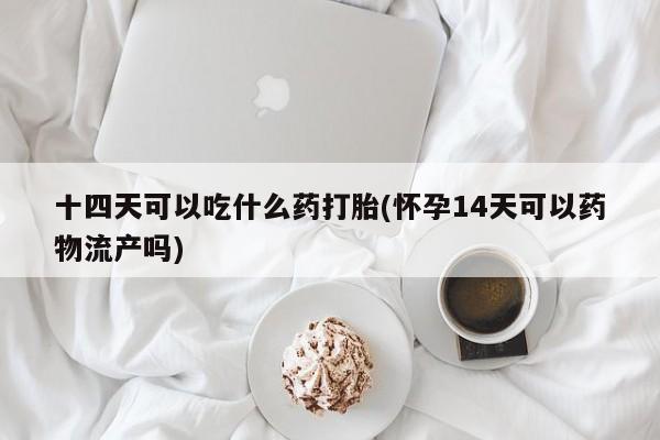 打胎药私人专卖微信网上药店十四天可以吃什么药打胎(怀孕14天可以药物流产吗)